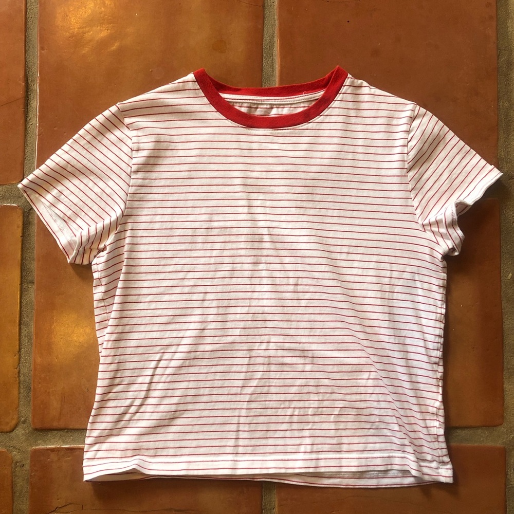 Everlane cropped crew neck T, Small